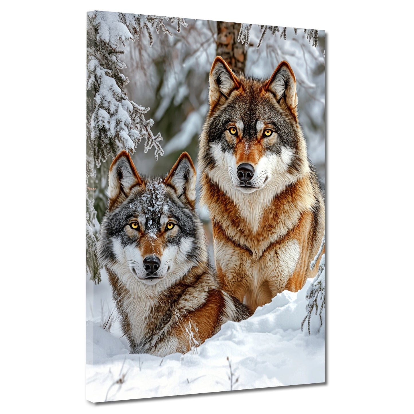 Due lupi nella neve tra gli alberi quadro
