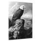Quadro aquila bianco nero montagna forza eleganza