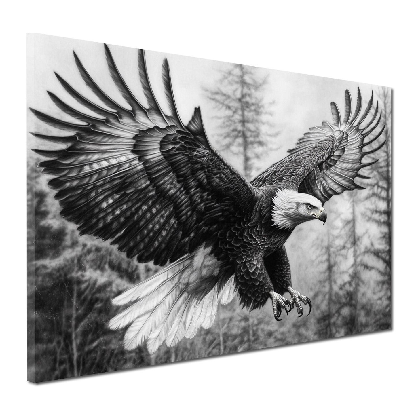 Quadro aquila bianco nero volo potenza libertà natura