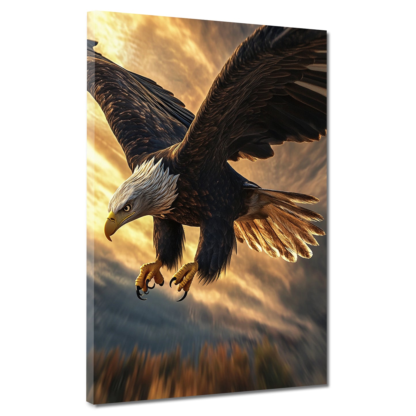 Quadro aquila volo tramonto potenza libertà natura