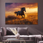 Quadro cavallo al tramonto libertà natura moderna