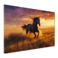 Quadro cavallo al tramonto libertà natura moderna