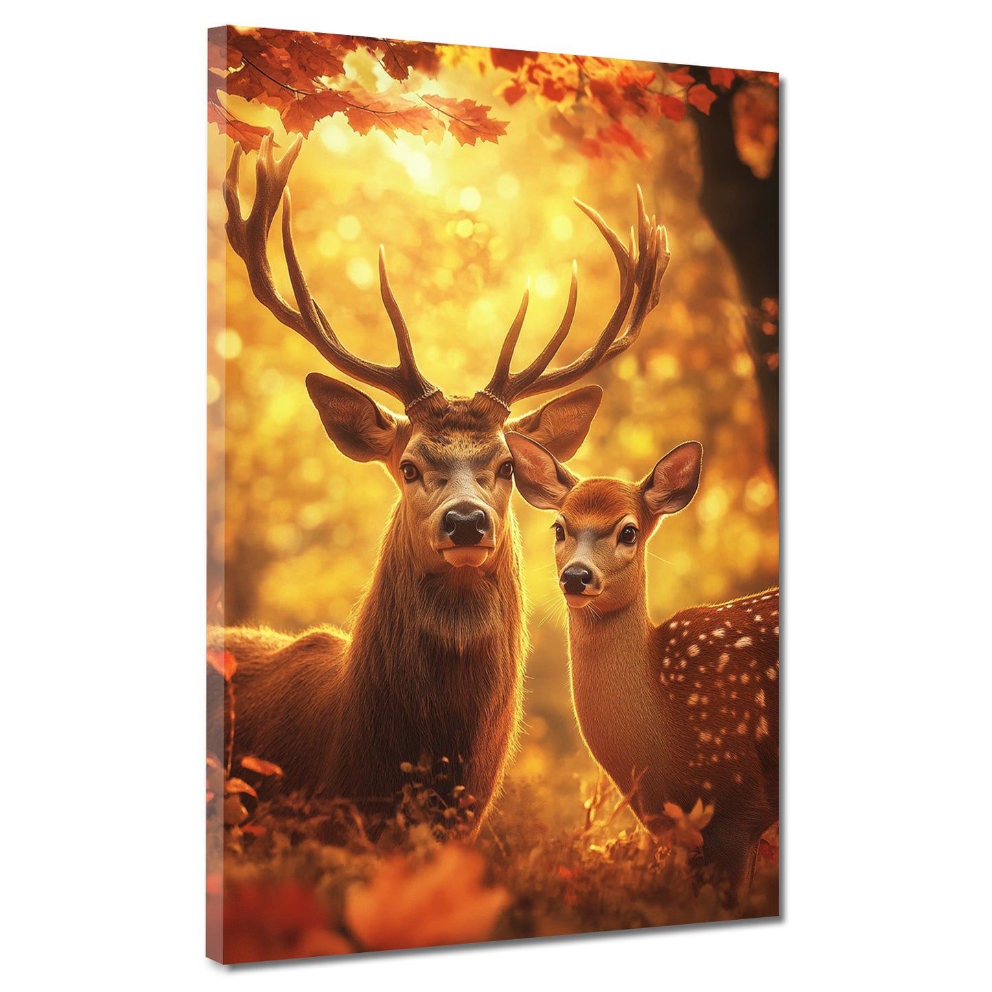 Quadro cervi coppia foresta autunno luce natura