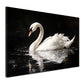 Quadro cigno bianco elegante natura stile moderno