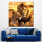 Quadro coppia di leoni africa tramonto natura amore