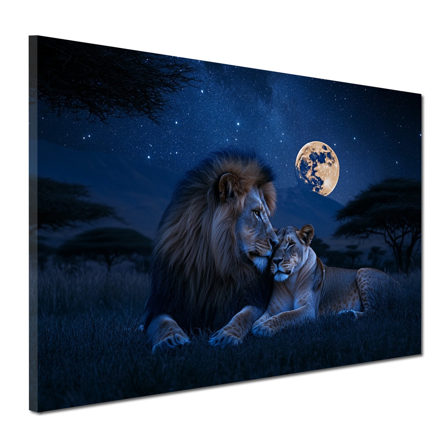 Quadro coppia di leoni romantica notte savana luna piena