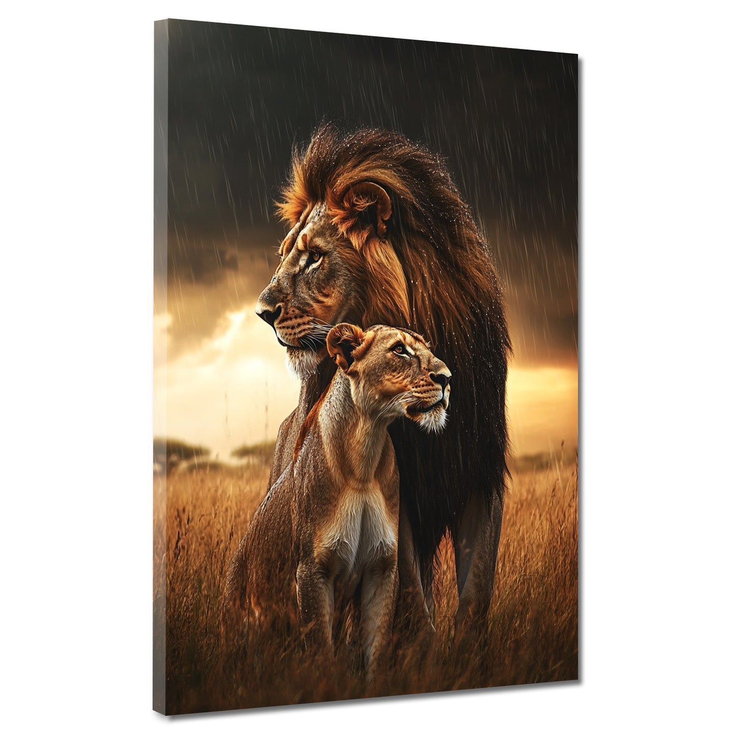 Quadro coppia di leoni selvaggi maestosi nella savana