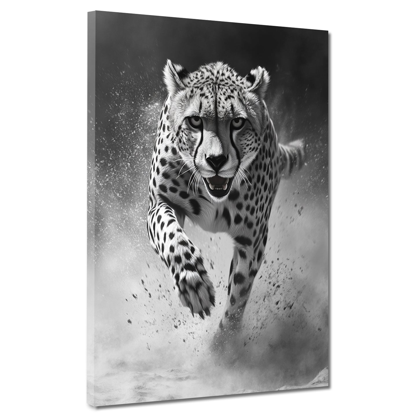 Quadro ghepardo bianco nero corsa energia velocità natura