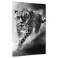 Quadro ghepardo bianco nero velocità potenza eleganza