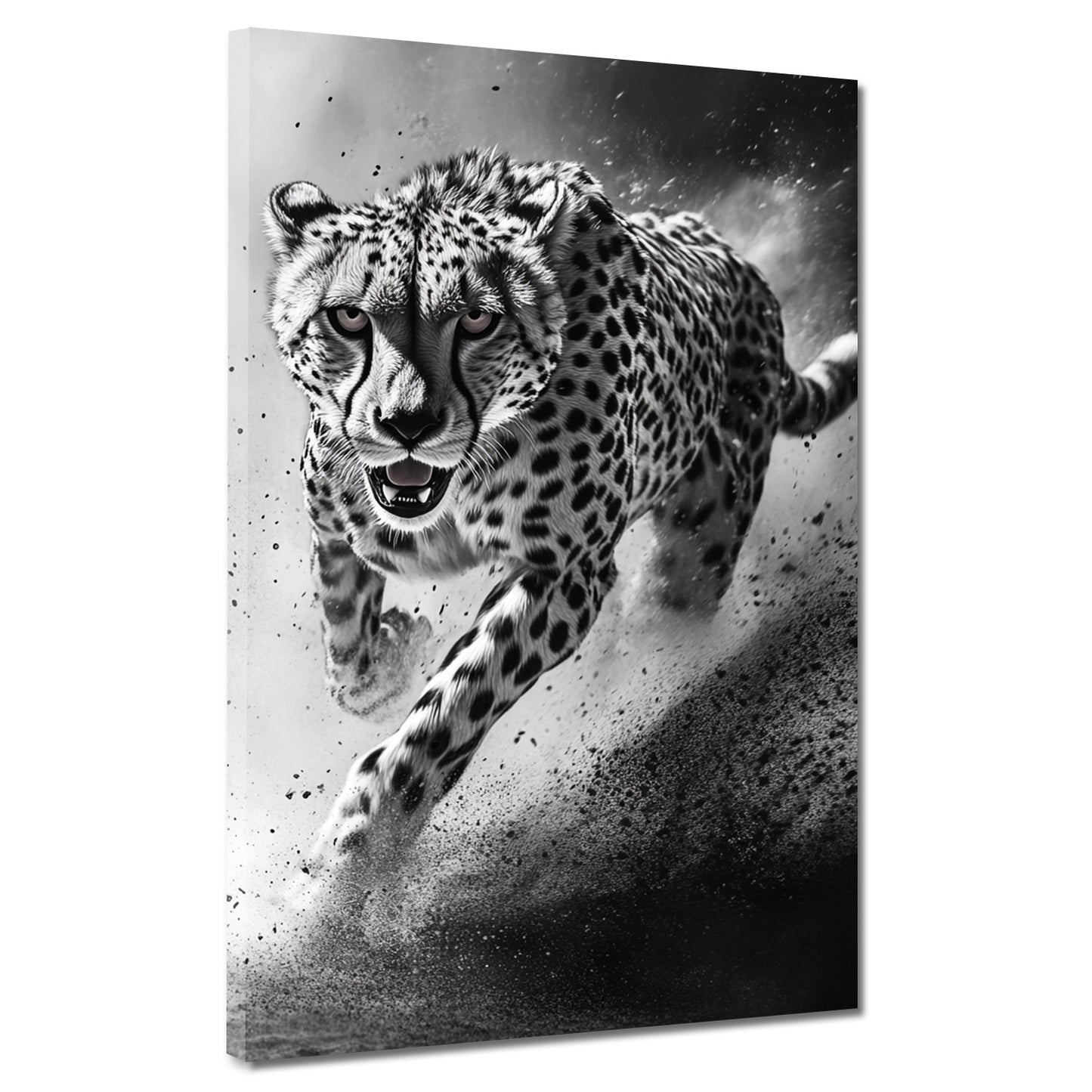Quadro ghepardo bianco nero velocità potenza eleganza