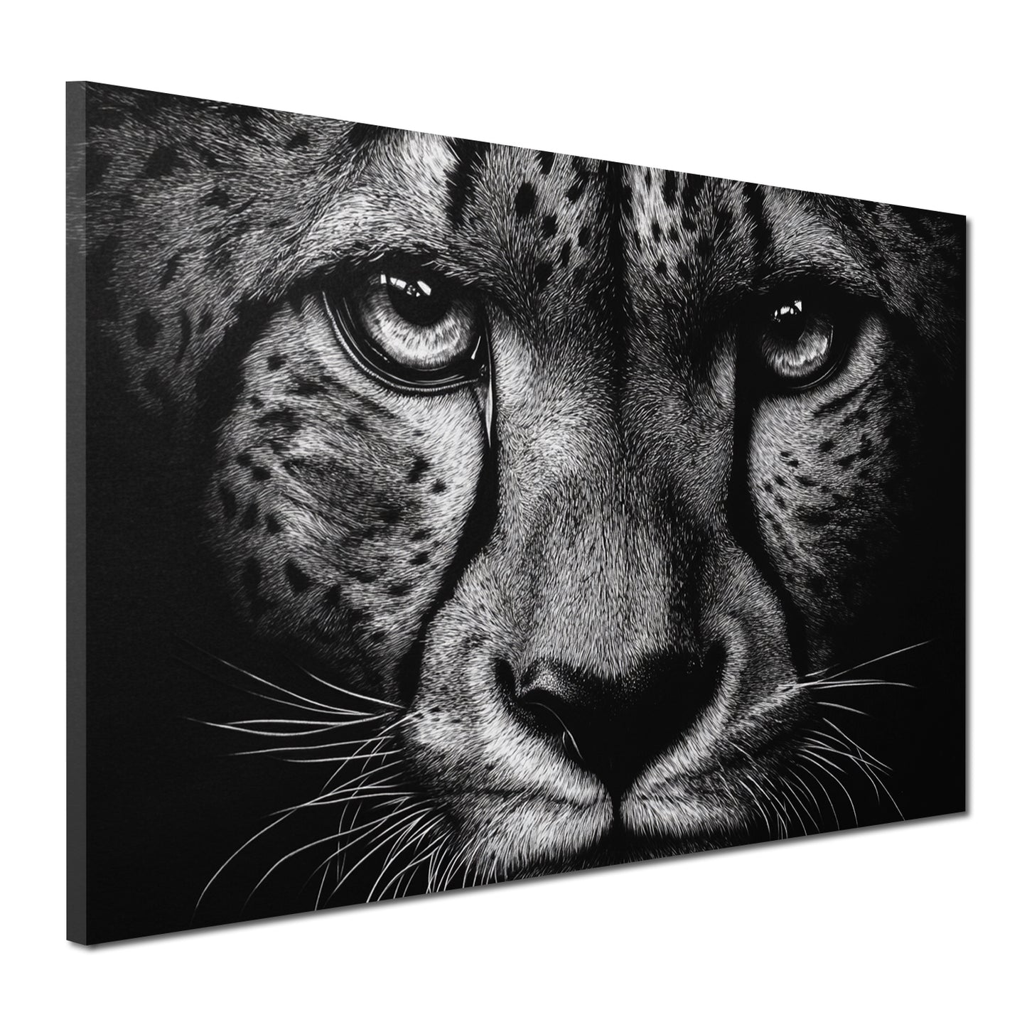 Quadro ghepardo primo piano bianco nero intensità