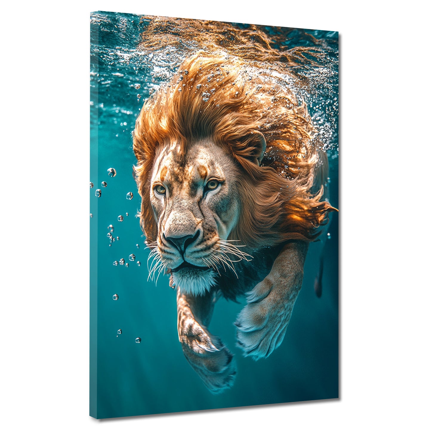 Quadro leone nell'acqua concentrato forza animale selvaggio