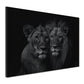 Quadro leoni coppia bianco nero forza eleganza ritratti animali