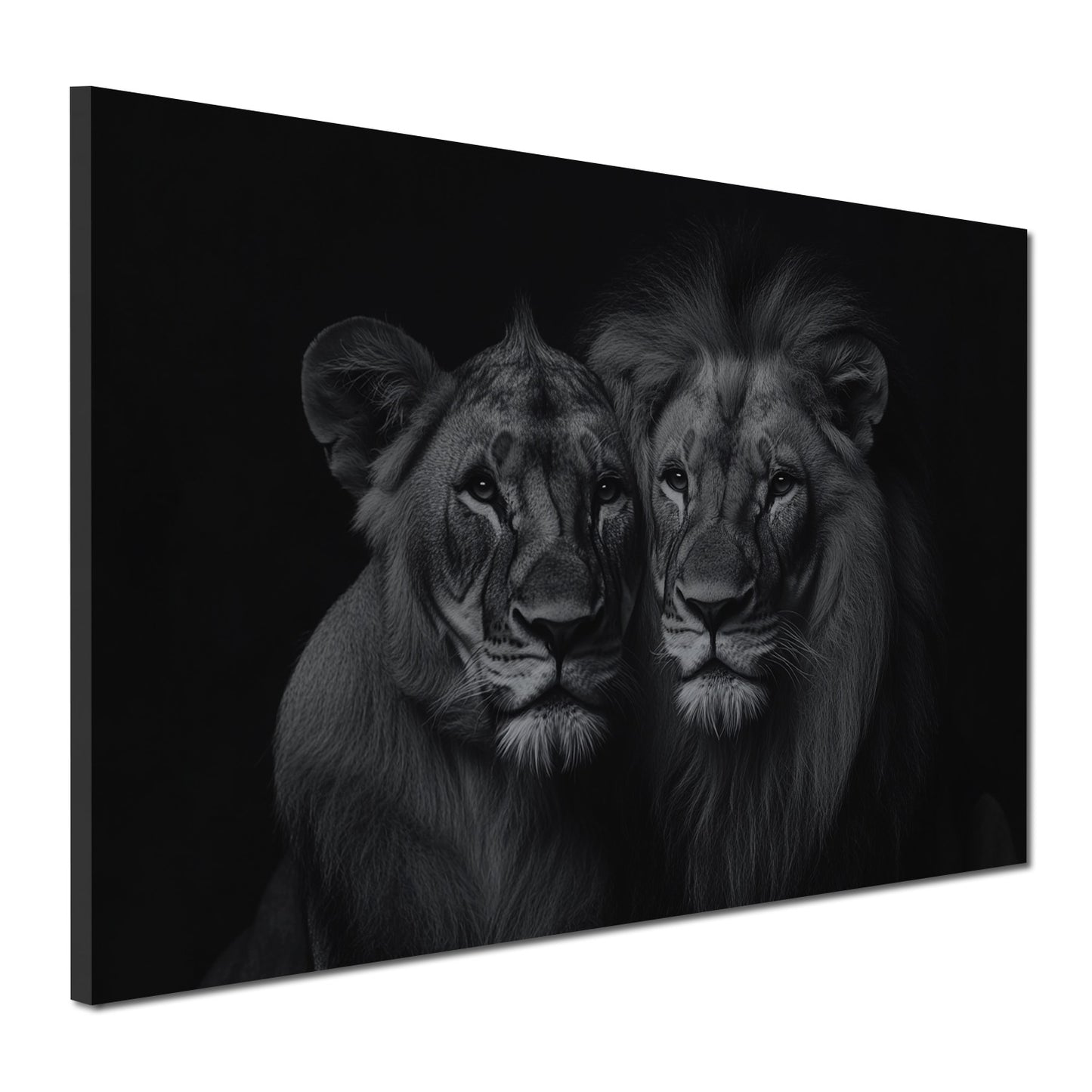 Quadro leoni coppia bianco nero forza eleganza ritratti animali