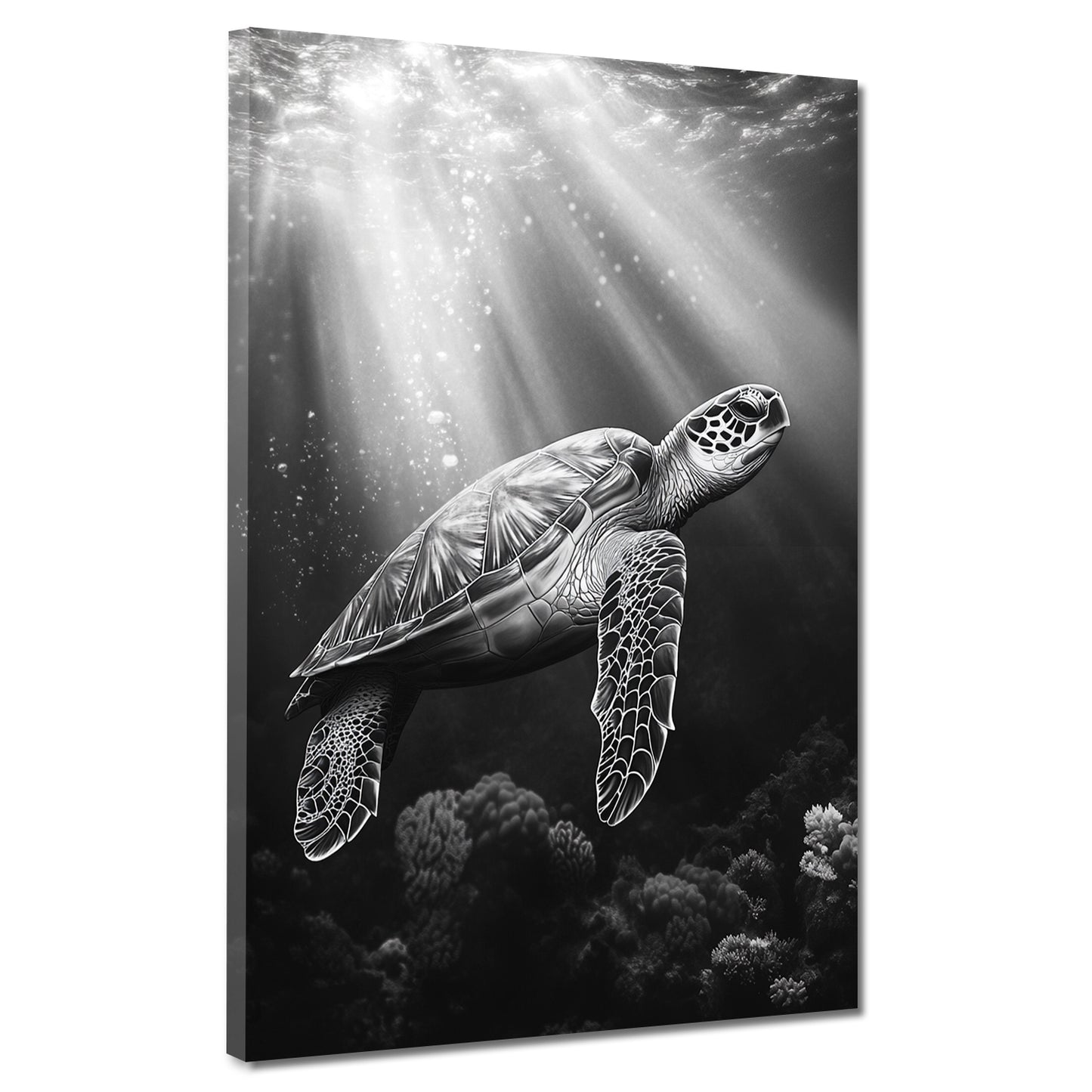 Tartaruga marina bianco e nero quadro