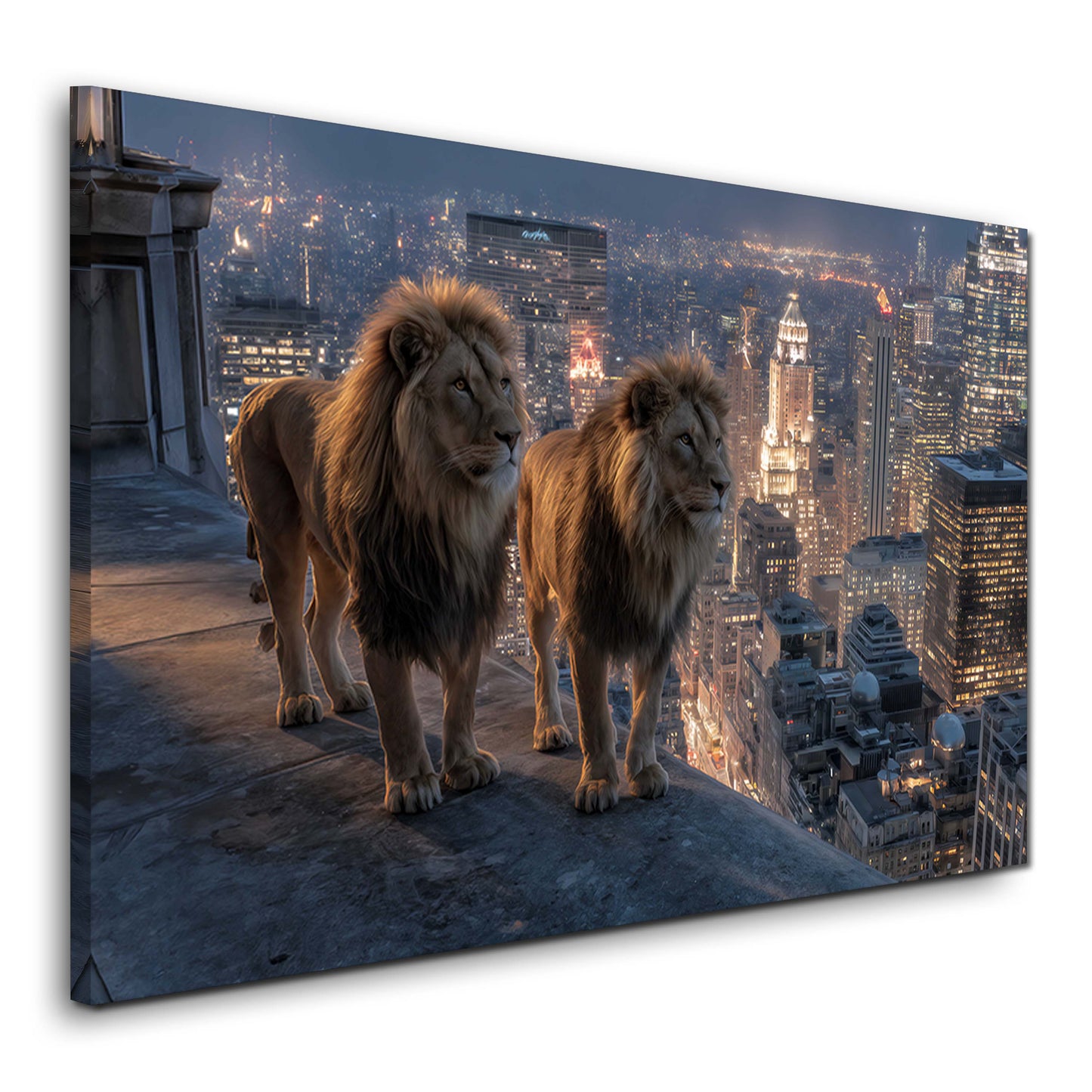 Due leoni sul tetto con skyline di New York di notte quadro