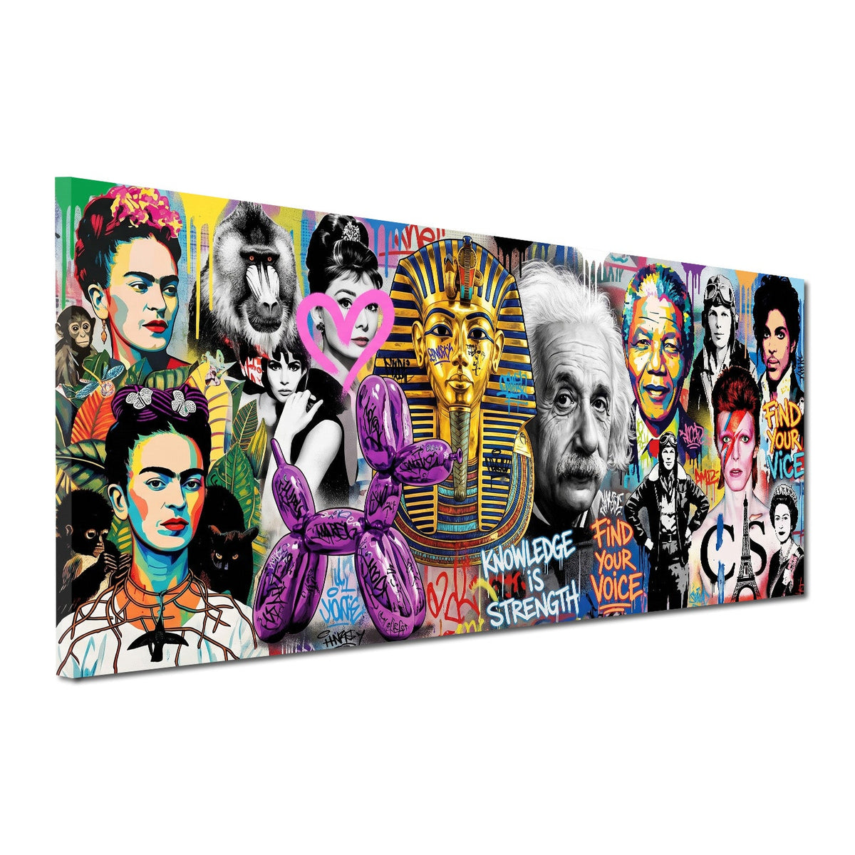 Frida Einstein Audrey Icone Pop Art Graffiti Retro quadro