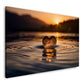 Cuore di vetro nell'acqua al tramonto dorato quadro