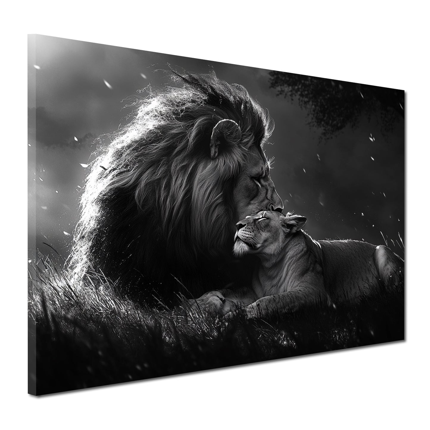 Leone e leonessa arte romantica bianco e nero quadro