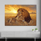 Leoni tramonto amore coppia savana quadro