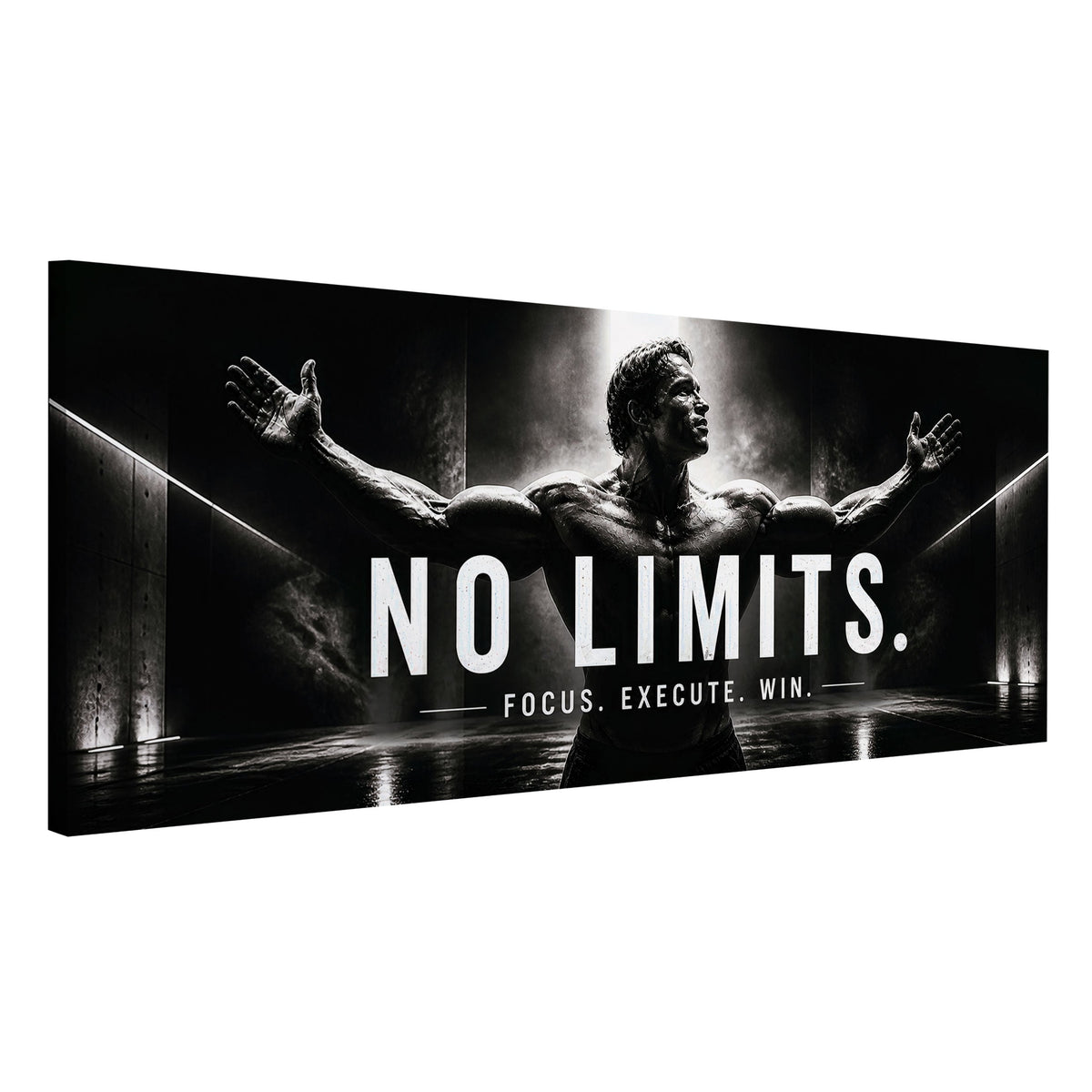 No Limits motivazione panorama in bianco e nero moderno quadro