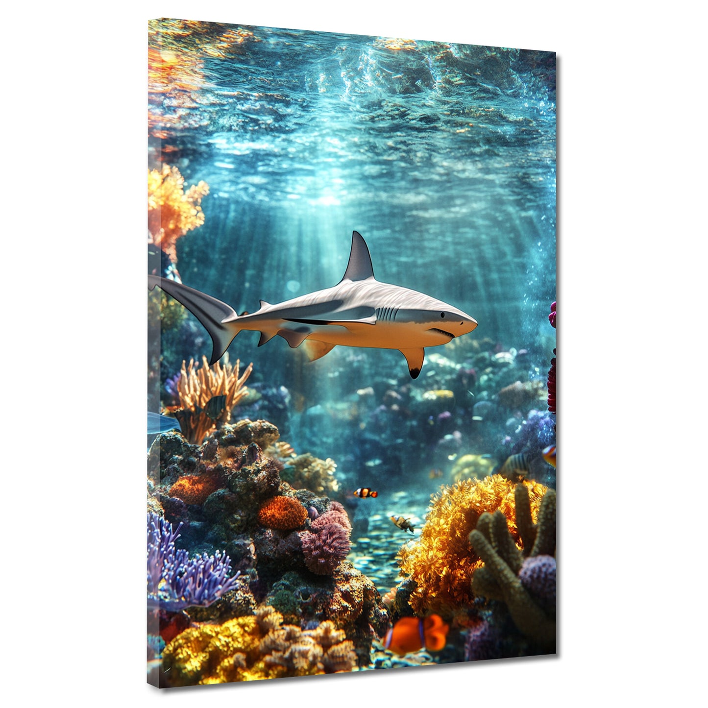 Squalo tropicale in acque limpide con luce marina quadro