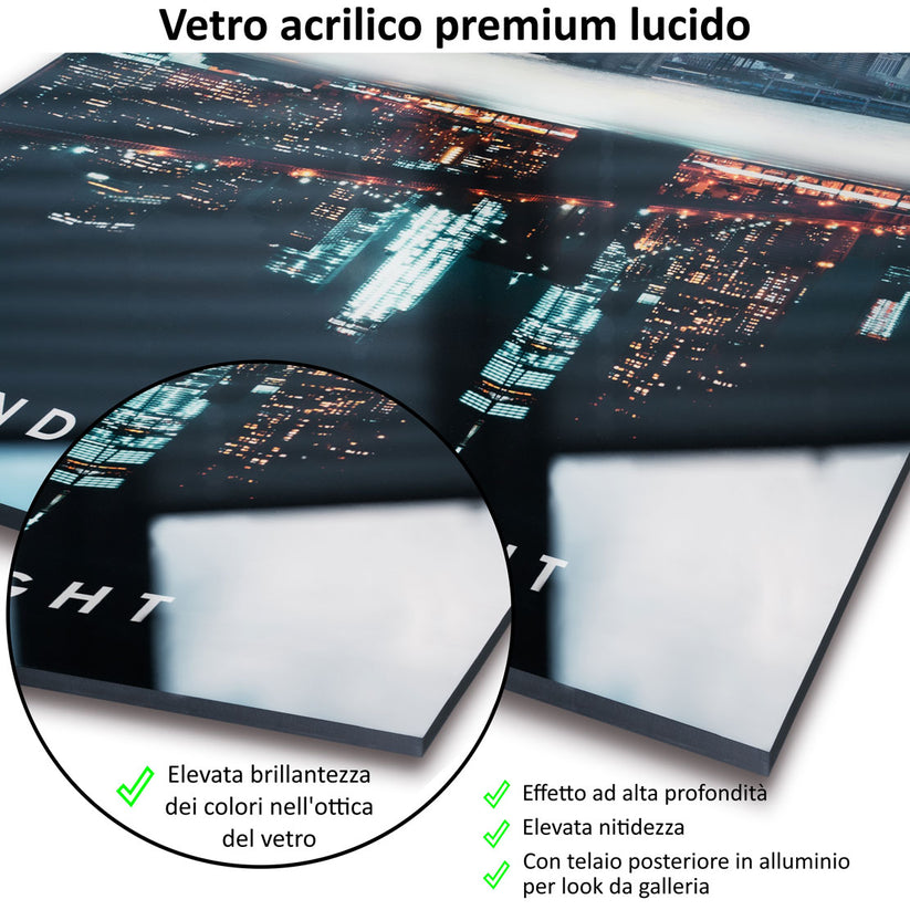 Quadro Pop Art astratto Duck Style