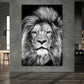 Quadro stampa su tela leone testa bianco e nero bellissimo, animali africani - Artedinoi